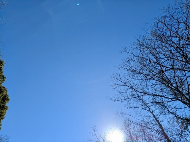 207090A5-231A-4795-9A99-2C8E9DCAD8D9.jpeg