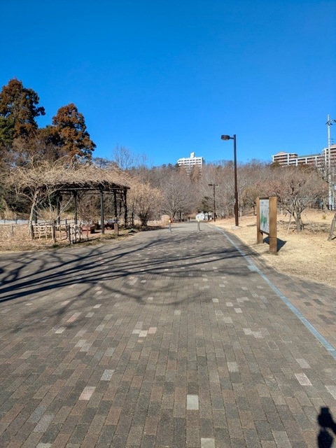 23535B18-C3C7-4BD3-ADC2-4FDEDEE4F5C8.jpeg