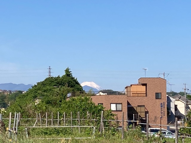 2A2E98E4-3204-440D-82D0-55DA4D566B4E.jpeg