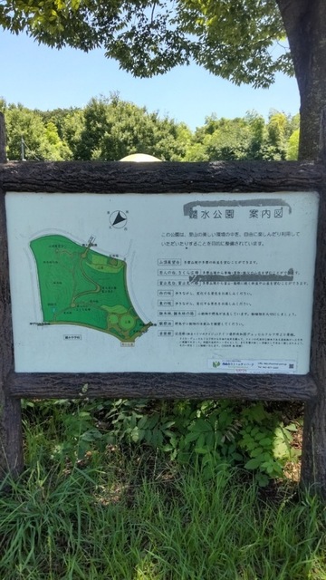 4900104960018636817.e1c1e03b85e297d72ae7685e7de7119a.23070205.jpeg