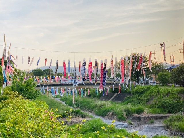 92F1BD3A-D505-49A8-B120-B34FE900A07C.jpeg