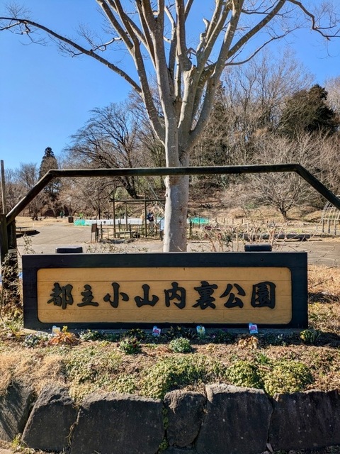 C30E04B8-EC9A-4D12-9DDE-11E5467B133A.jpeg