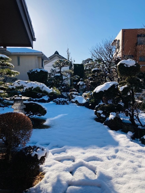 CAA1D018-32BA-4F55-B6A1-AB70912CF7F7.jpeg