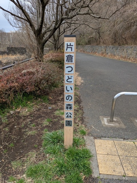 D911C9C7-6B16-488E-A290-E9A8471F489A.jpeg