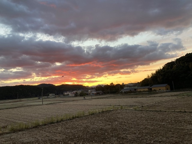 DF528C1D-60FC-4803-945B-D877D38B9A05.jpeg