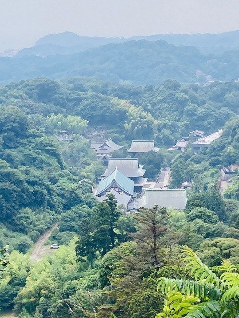 IMG_0714.jpeg