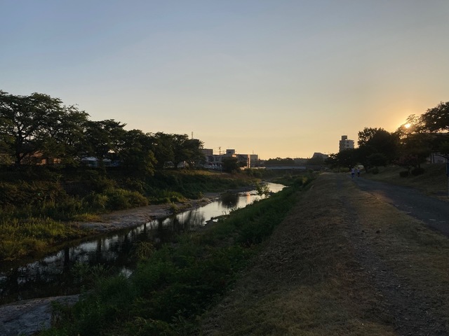 IMG_1649.jpeg