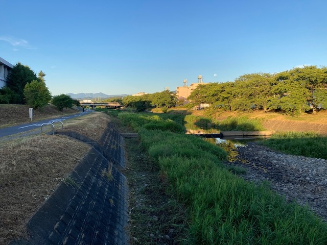 IMG_1788.jpeg