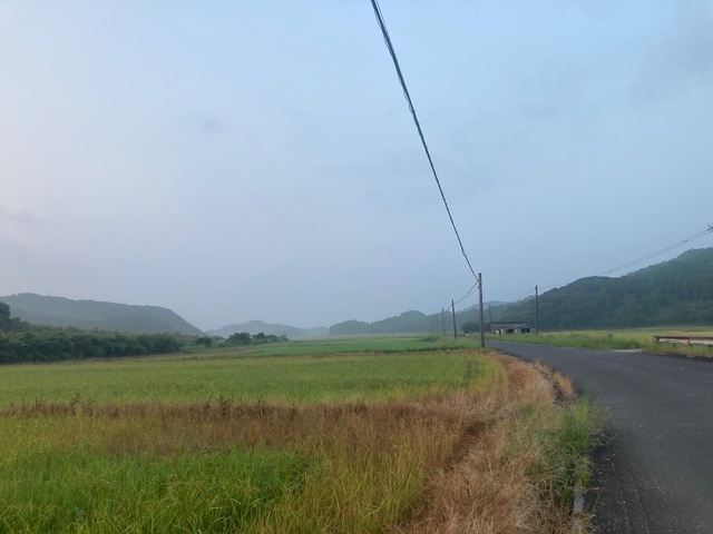IMG_3603.jpeg