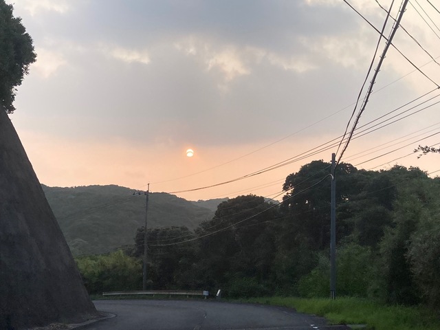 IMG_3606.jpeg