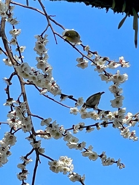 IMG_4882.jpeg