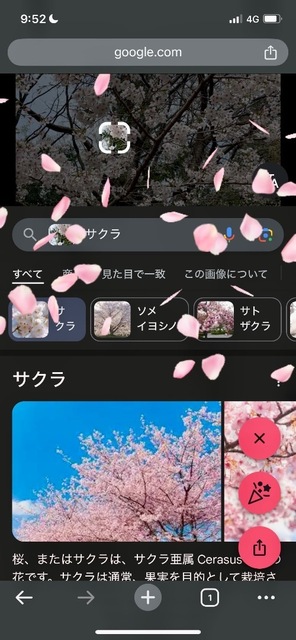 IMG_5001.jpeg
