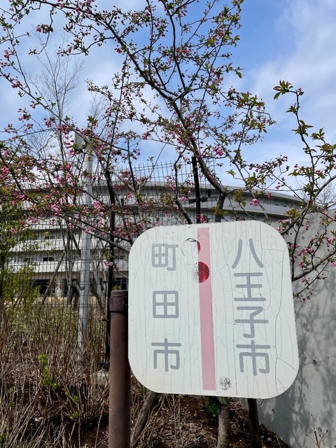 IMG_5014.jpeg