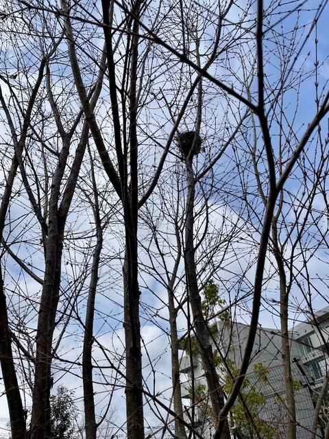 IMG_5015.jpeg
