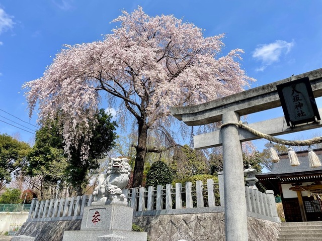 IMG_5029.jpeg