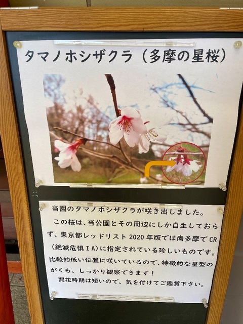 IMG_5036.jpeg