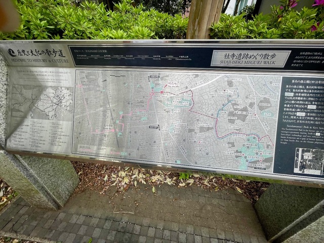 IMG_5125.jpeg