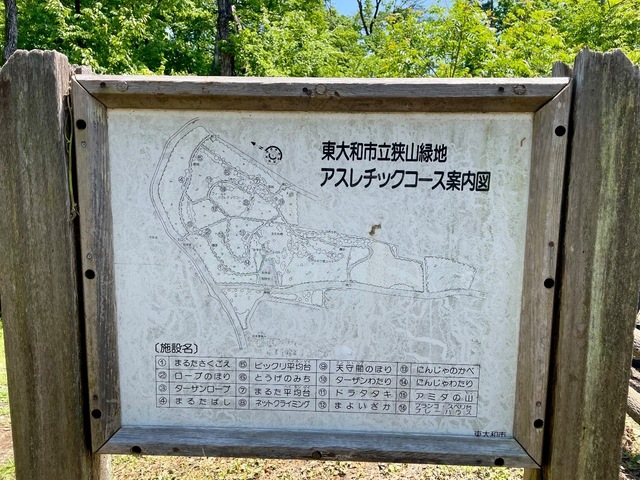 IMG_5904.jpeg