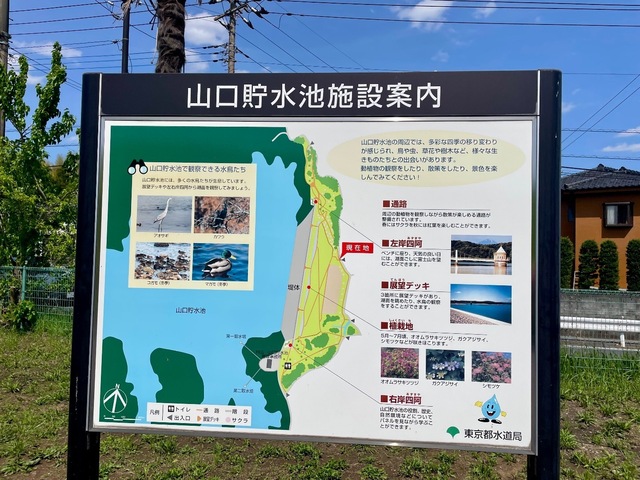 IMG_5940.jpeg