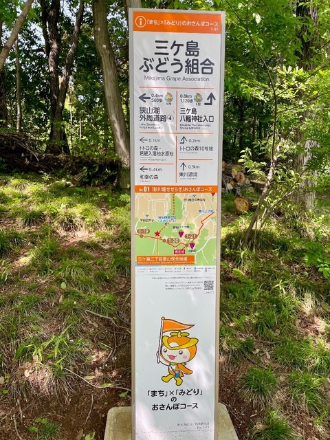 IMG_5950.jpeg