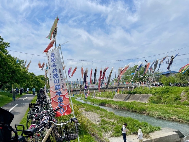 IMG_5999.jpeg