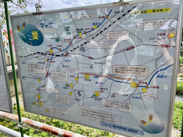 IMG_6003.jpeg