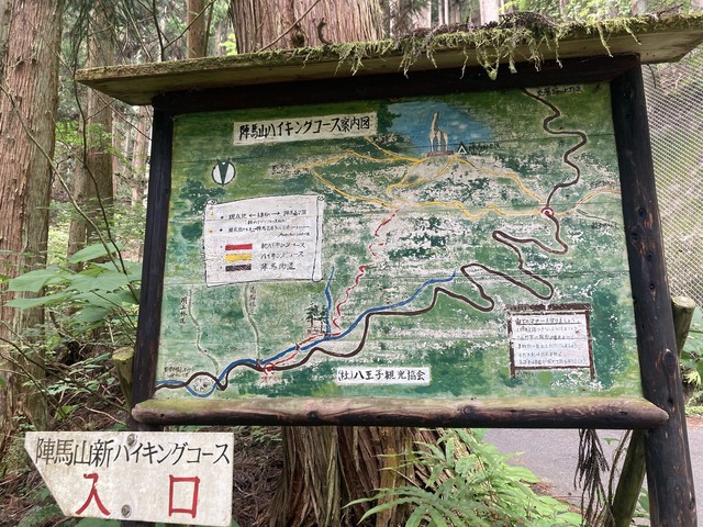 IMG_9963.jpg