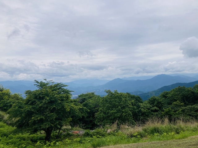 IMG_9970.jpg